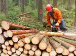 659d8f_commercial tree services land clearance ground clearance glasgow lanarkshire dal