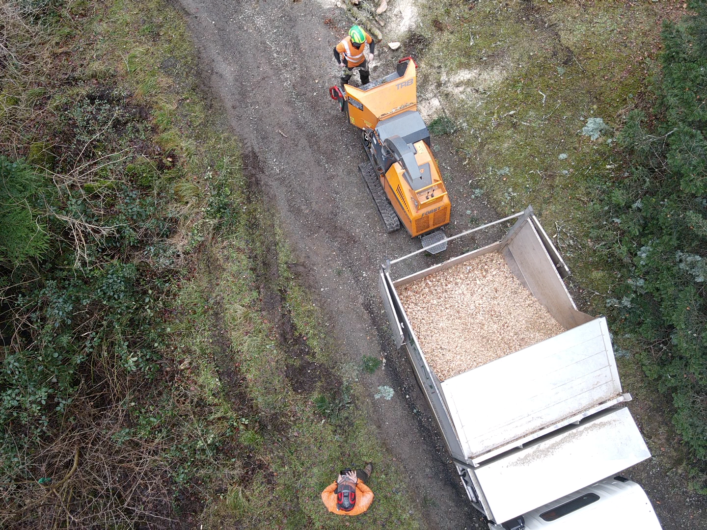 aerial view wood chipper filling trailer with woodchips