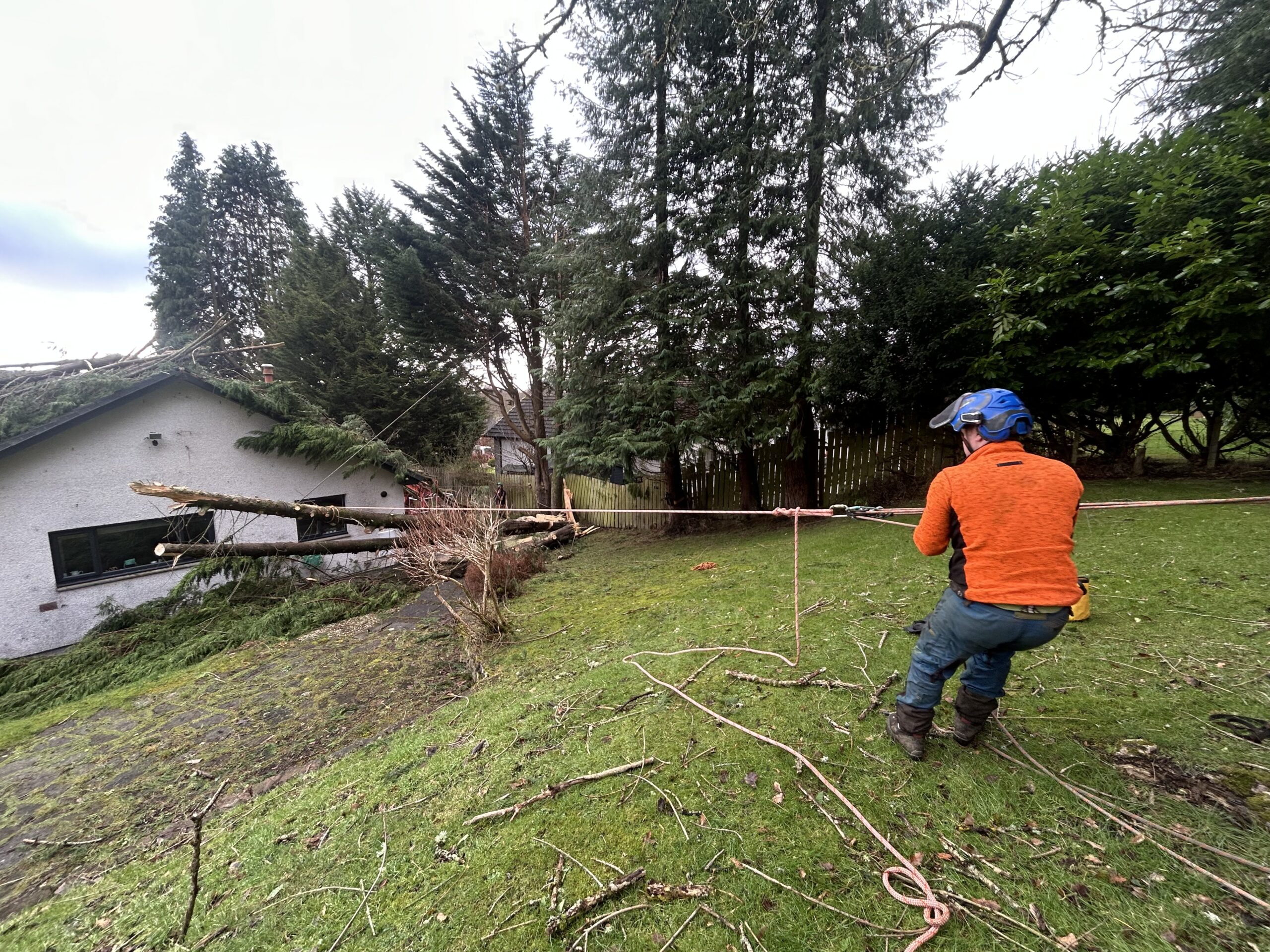 arborist rigging rope line near storm damaged house