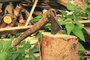 An old axe stuck into a wooden chopping block surrounded by stacked logs and green weeds.