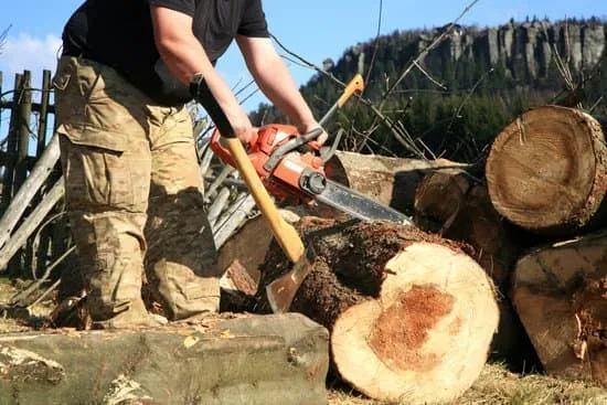 b3a3b1_TreeRemovalPermitsDoYouNeedOne glasgow 2880w