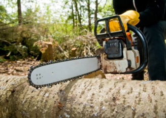 A chainsaw held by a worker in yellow gloves cuts into a large fallen tree trunk in a wooded area.