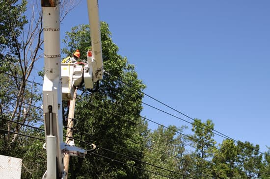 A worker in a cherry-picker bucket in orange hi-vis prunes a tree next to overhead power lines.