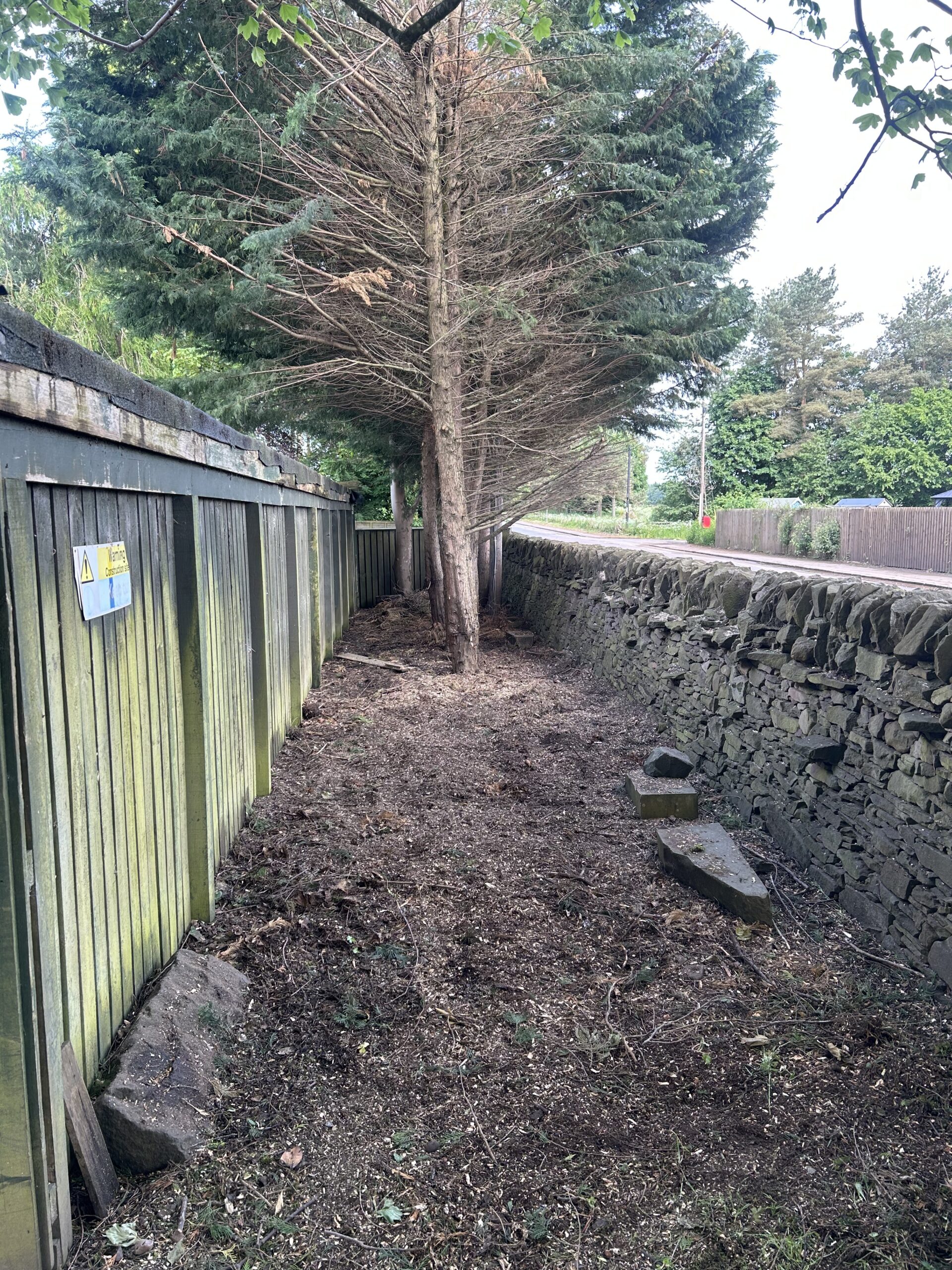 cleared undergrowth strip beside dry stone wall and fence