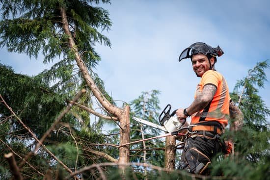 A tree surgeon in an orange harness and helmet smiling while holding a chainsaw up in a tree.