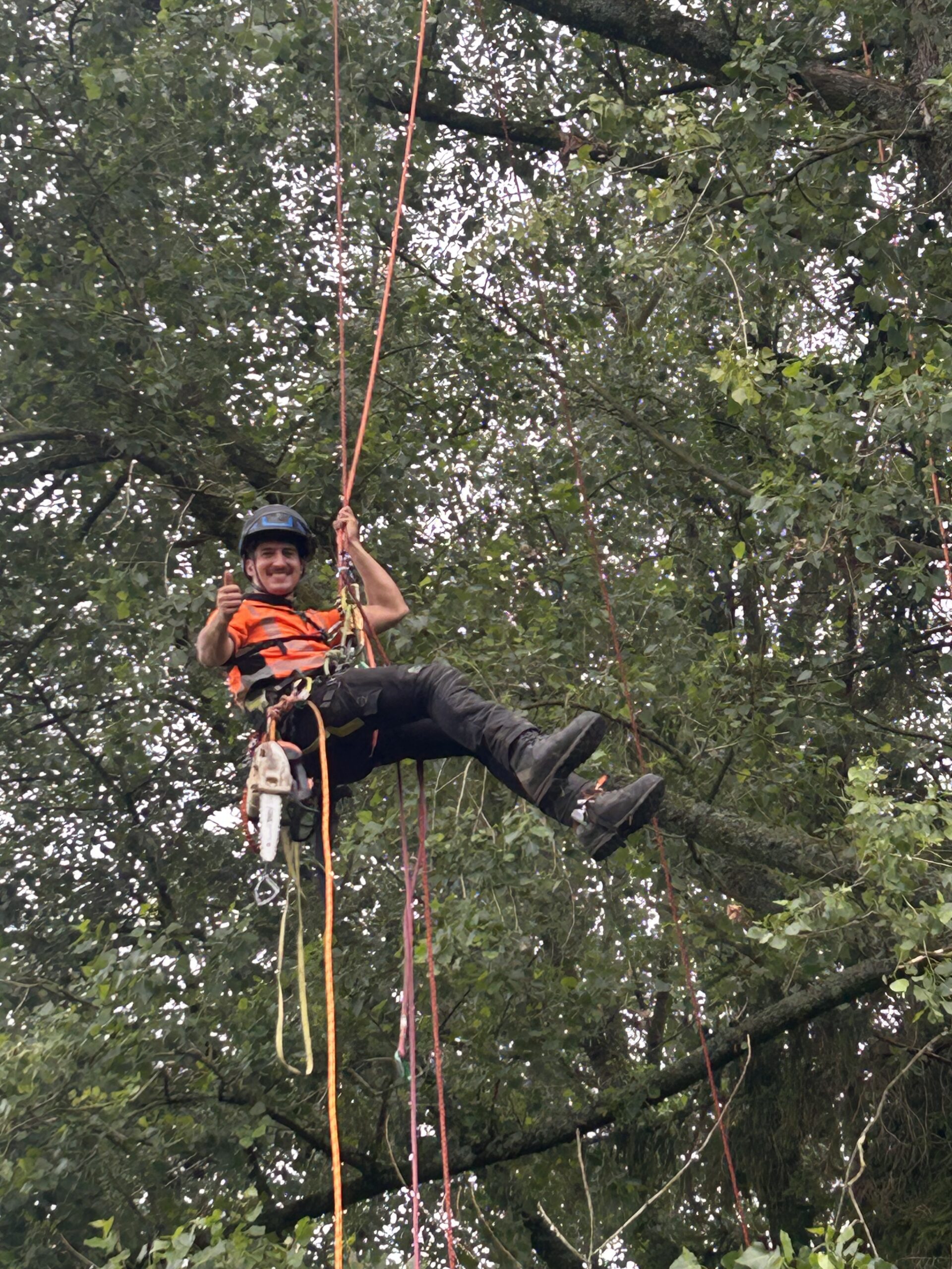 climber suspended on ropes giving thumbs up in canopy