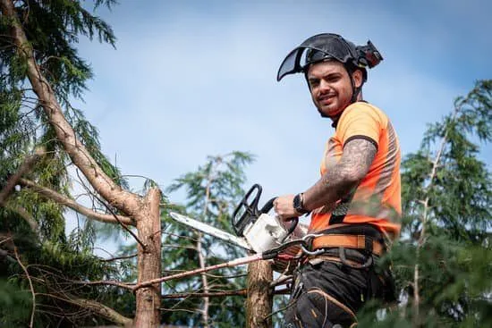 climber with chainsaw among cut branches