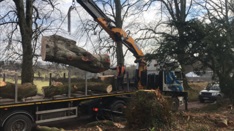 A hydraulic crane lifts a large tree log onto a flatbed lorry while two workers in hi-vis stand beside it.