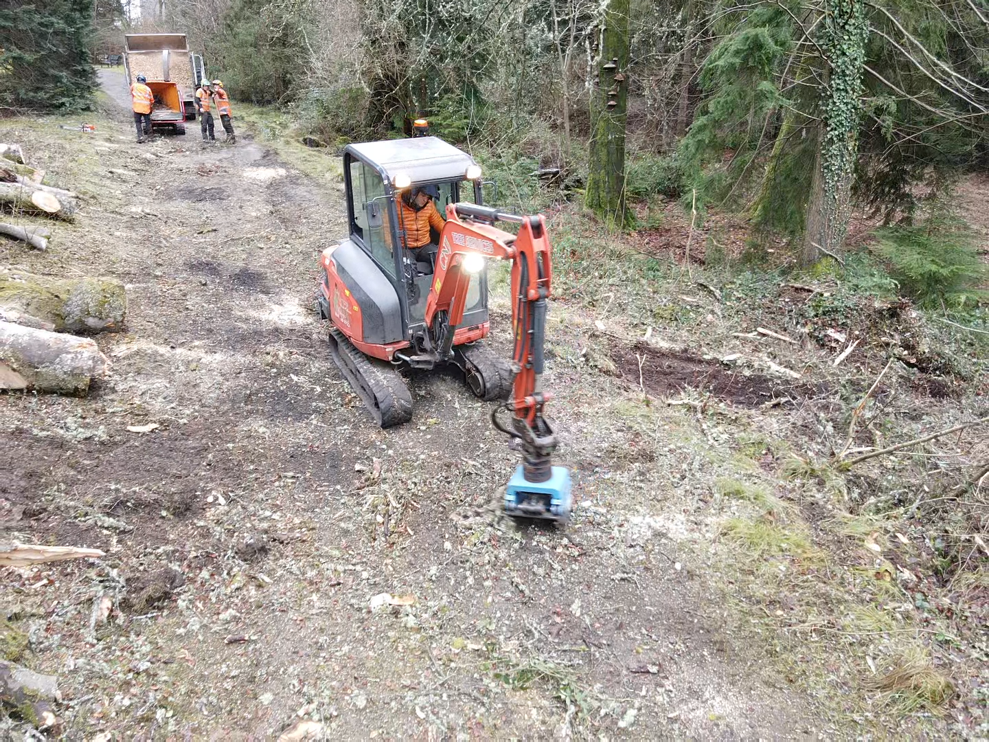 excavator with mulcher head clearing woodland undergrowth