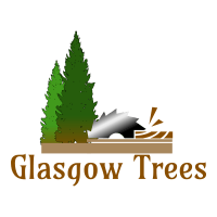 Glasgow Trees