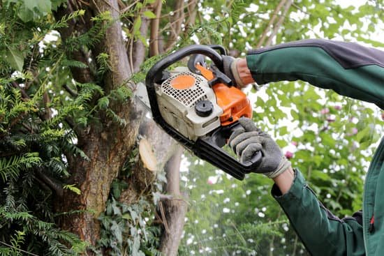 A gloved arm in a green sleeve holding an orange chainsaw up against a tree branch surrounded by foliage.