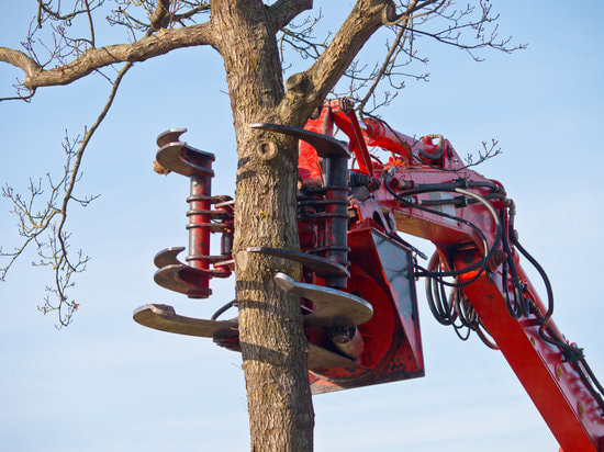 A red hydraulic stump grinder attachment cuts into a bare tree trunk against a clear sky.