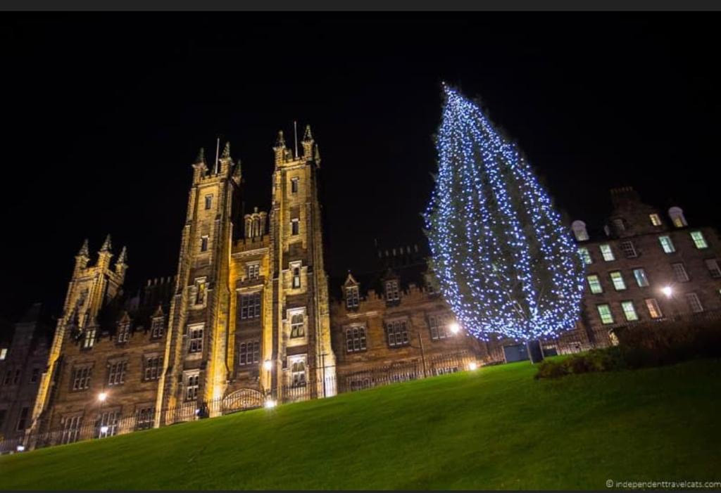 A large tree covered in blue fairy lights stands illuminated at night beside a floodlit historic stone building.