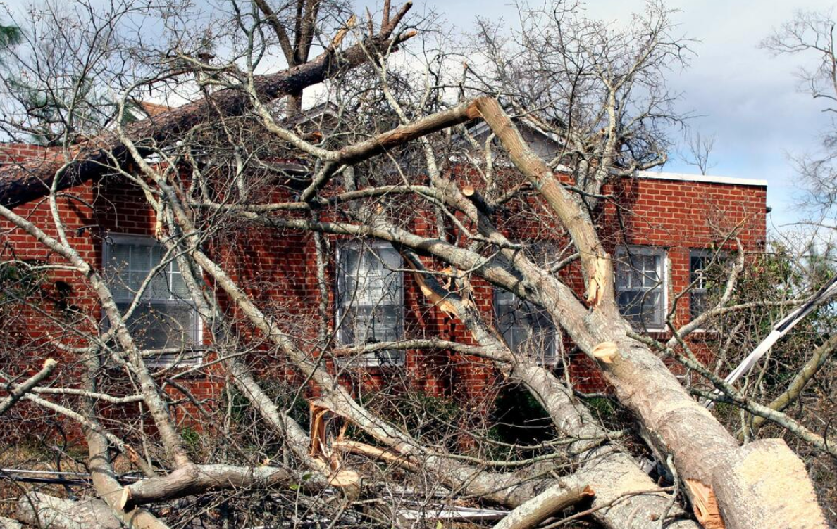 Large broken tree branches have fallen across the roof and windows of a red brick house after storm damage.