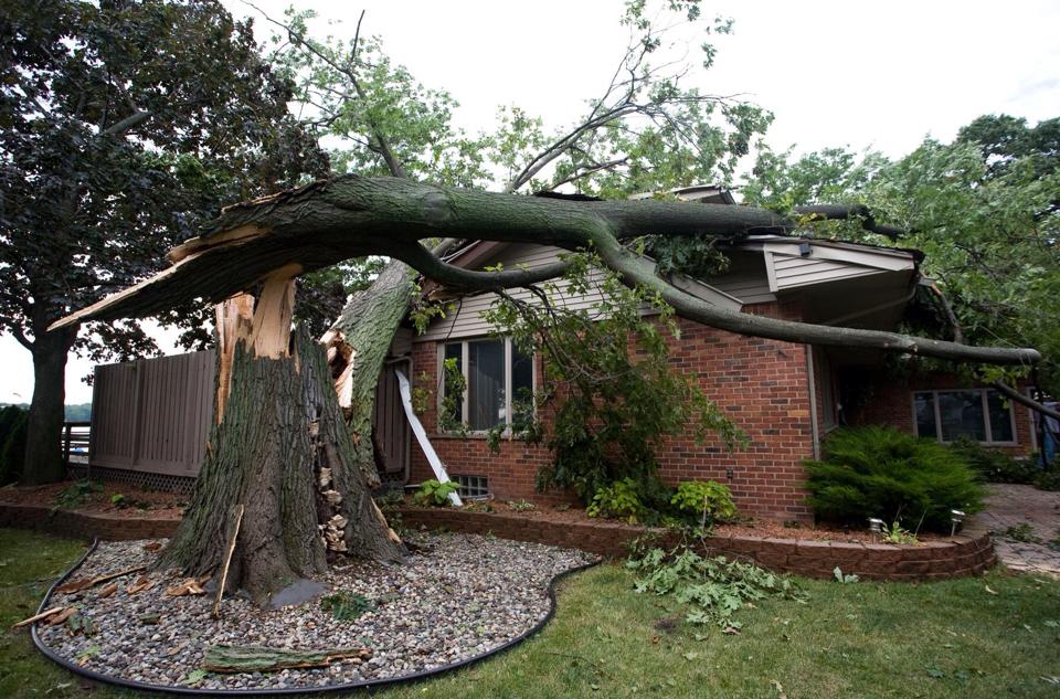 A large storm-damaged tree with a snapped trunk lying across the roof of a brick house.