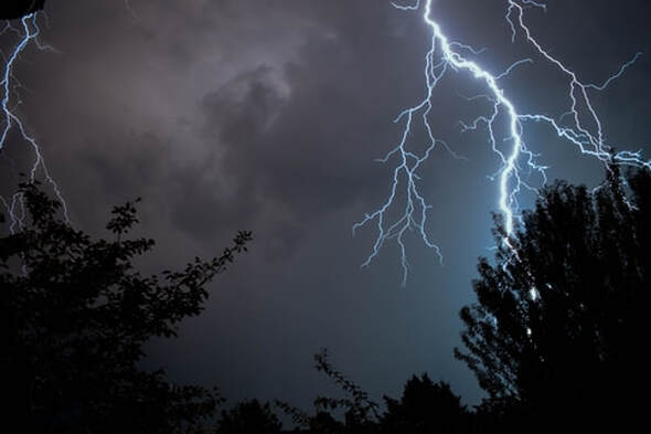 A bright lightning bolt splits the night sky above silhouetted treetops during a storm.