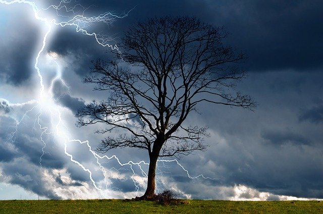 A leafless tree stands silhouetted against a stormy sky as lightning branches across the dark clouds.