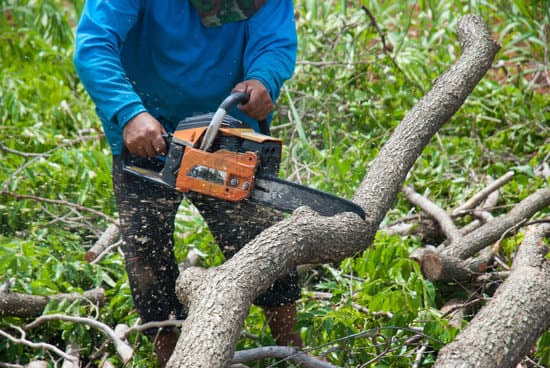 A man in a blue shirt using an orange chainsaw to cut through a fallen branch amid cut foliage.