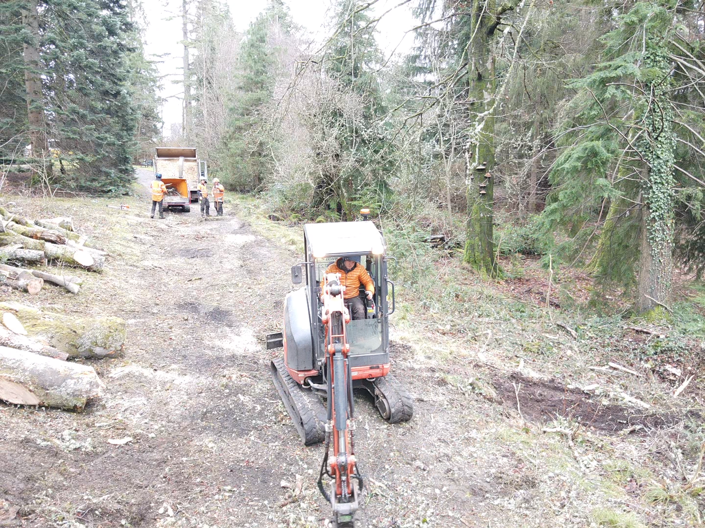 mini excavator with grapple driving forest track