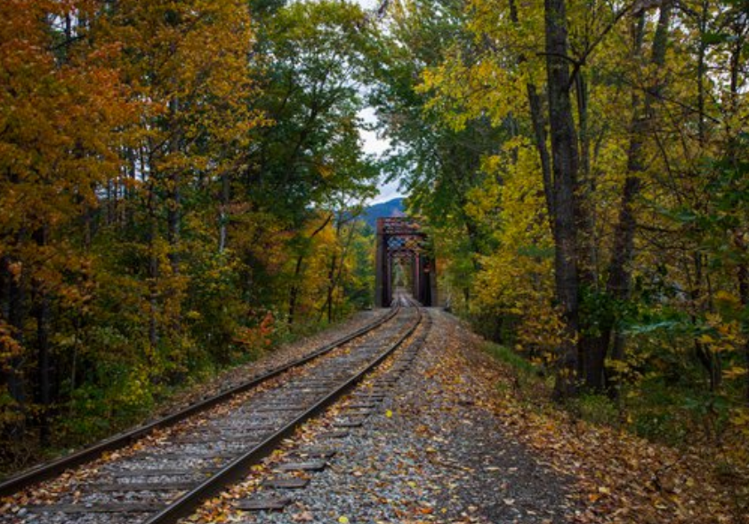 A railway line lined with autumn-coloured trees leading toward a metal trestle bridge in the distance.