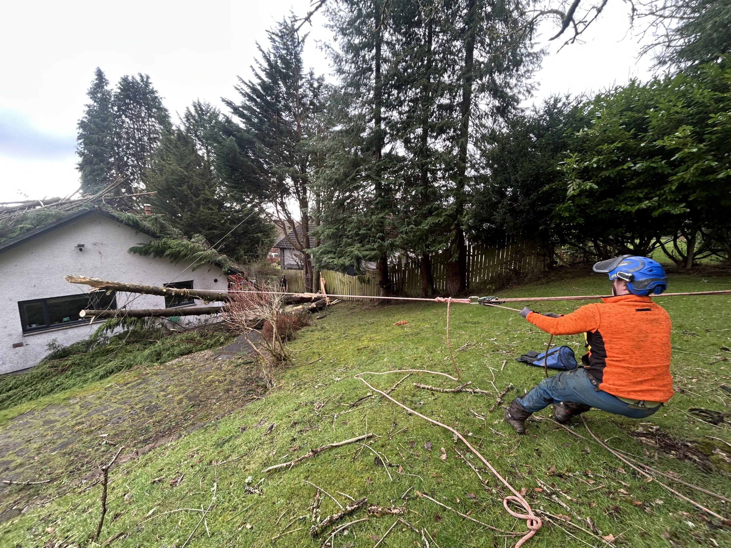 rope rigging pulling storm fallen tree off bungalow roof