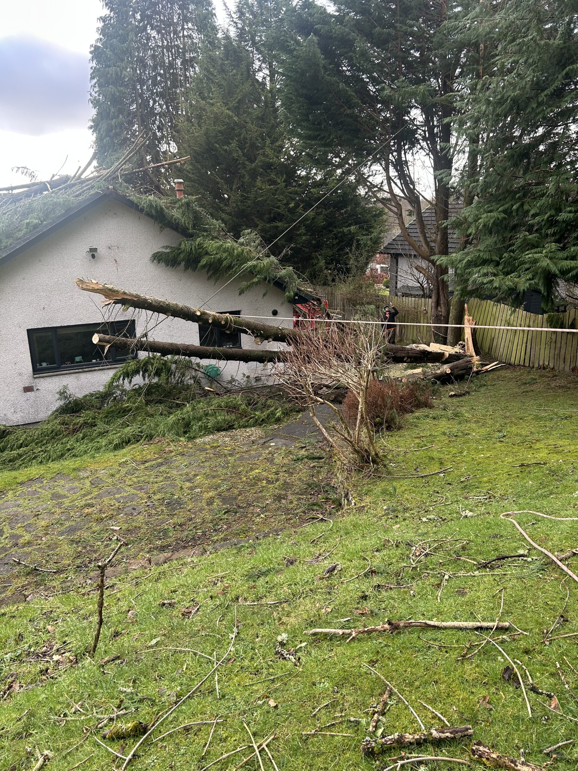 storm fallen trees crushing house roof and windows