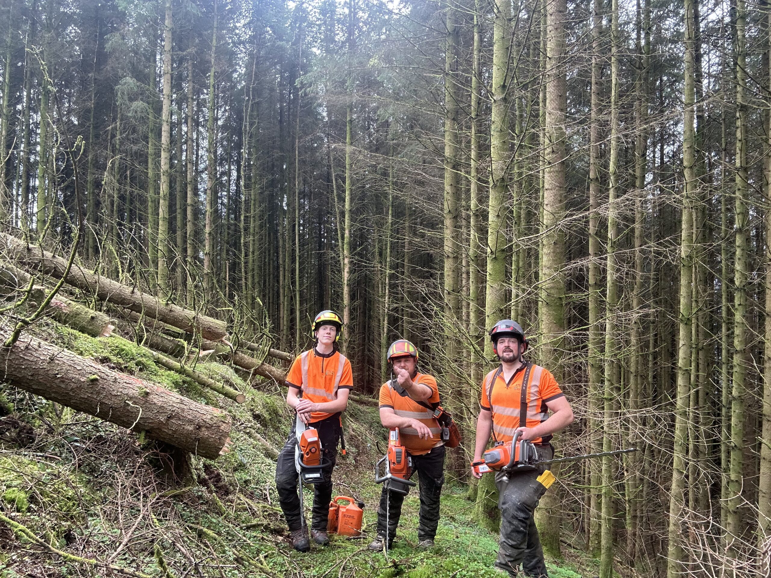 three tree surgeons posing with chainsaws by felled log