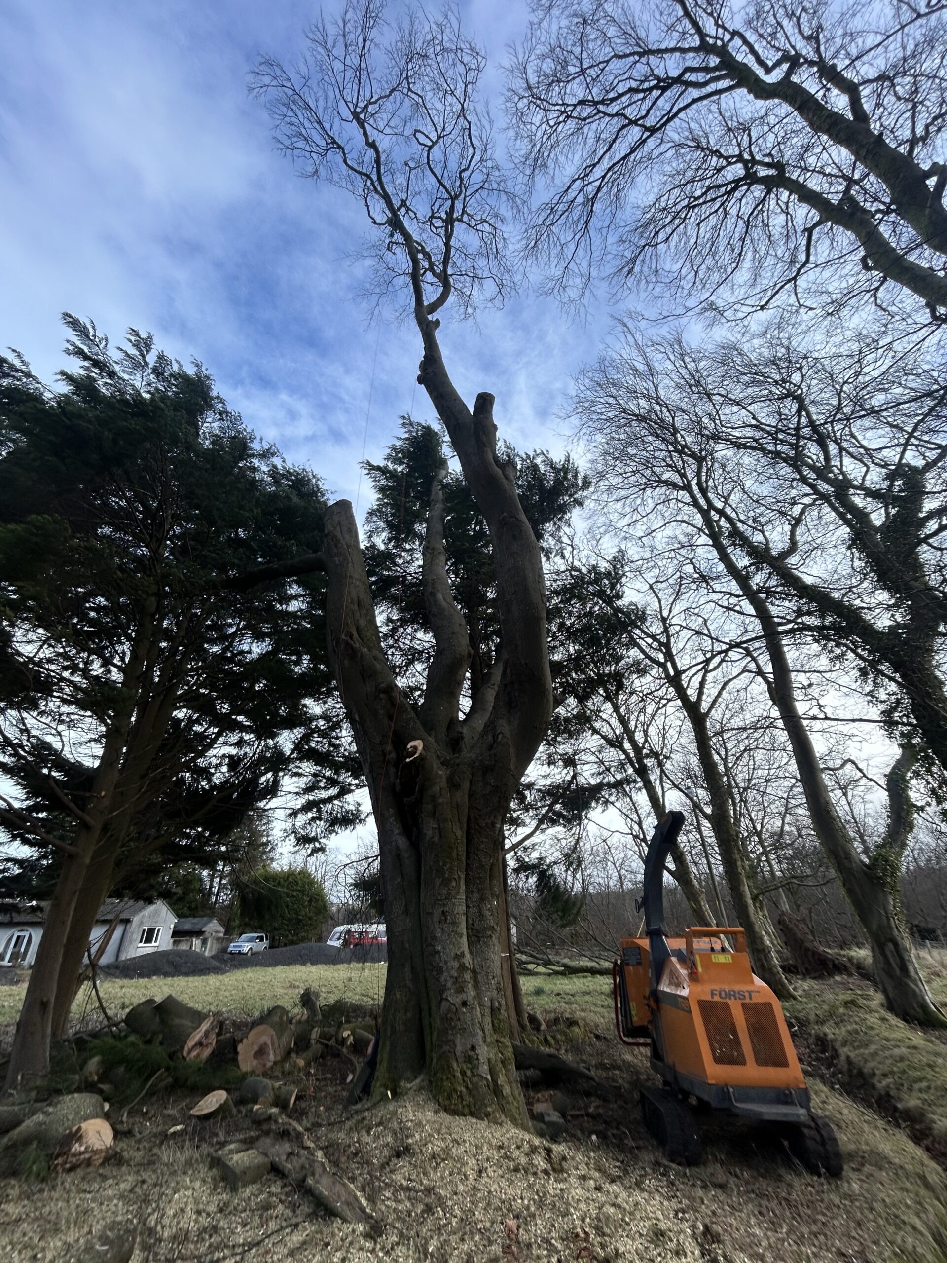 topped tree trunk beside orange wood chipper in garden