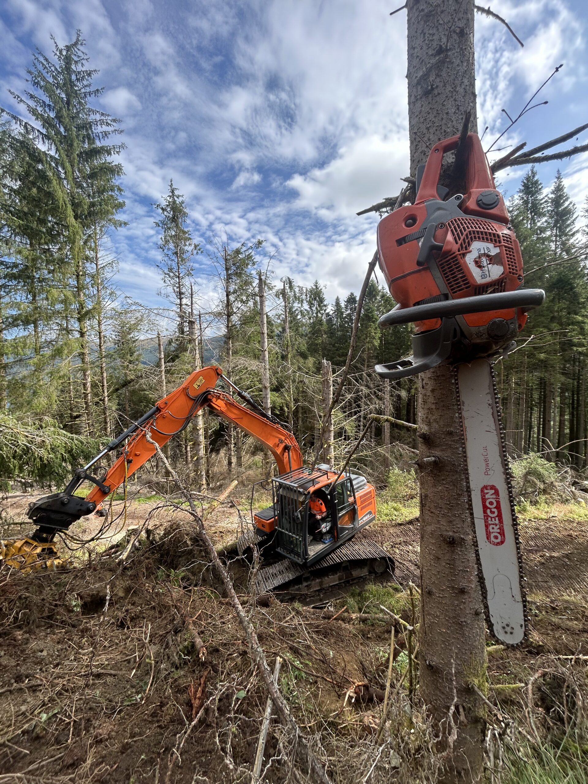 tracked forestry excavator felling trees in woodland