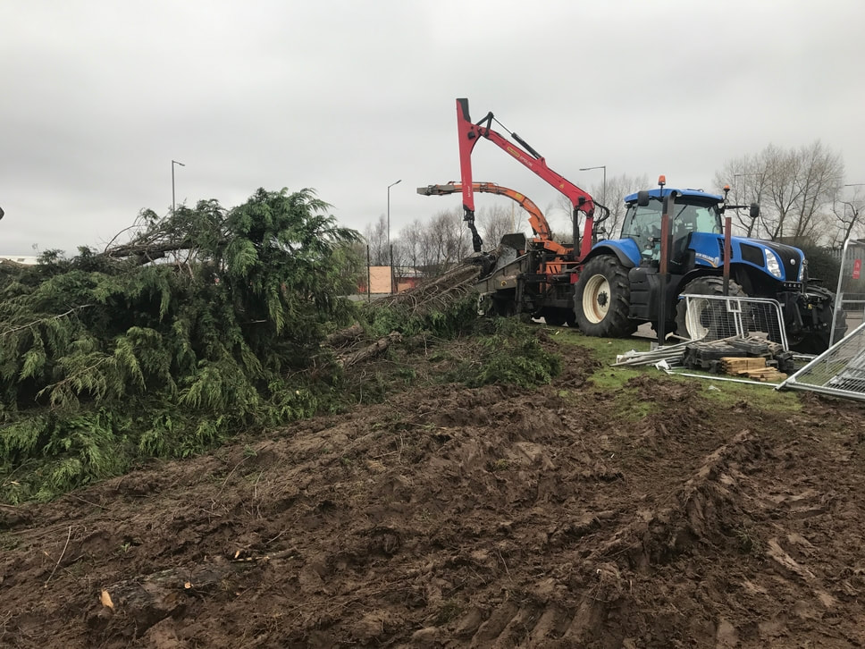 tractor with wood chipper attachment felled conifer