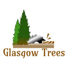 tree surgeon glasgow helpful terminology
