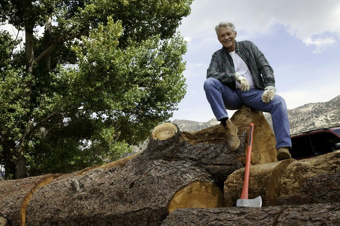 tree surgeon glasgow services about trees