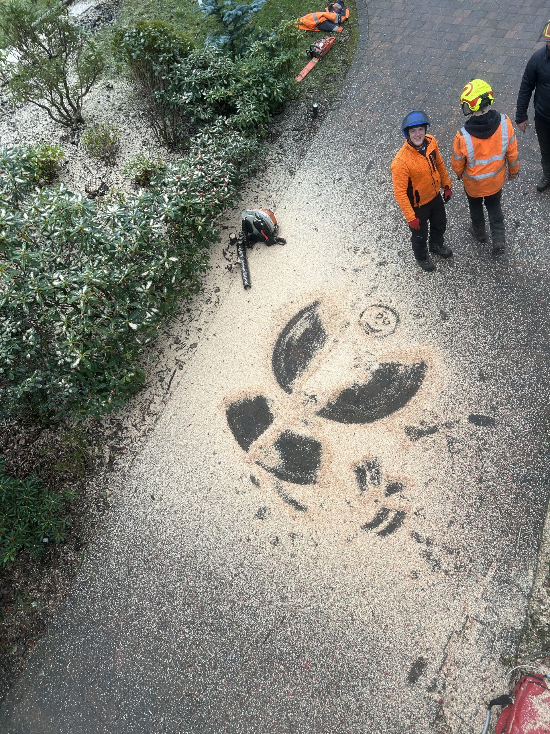 tree surgeons standing beside chainsaw and sawdust art