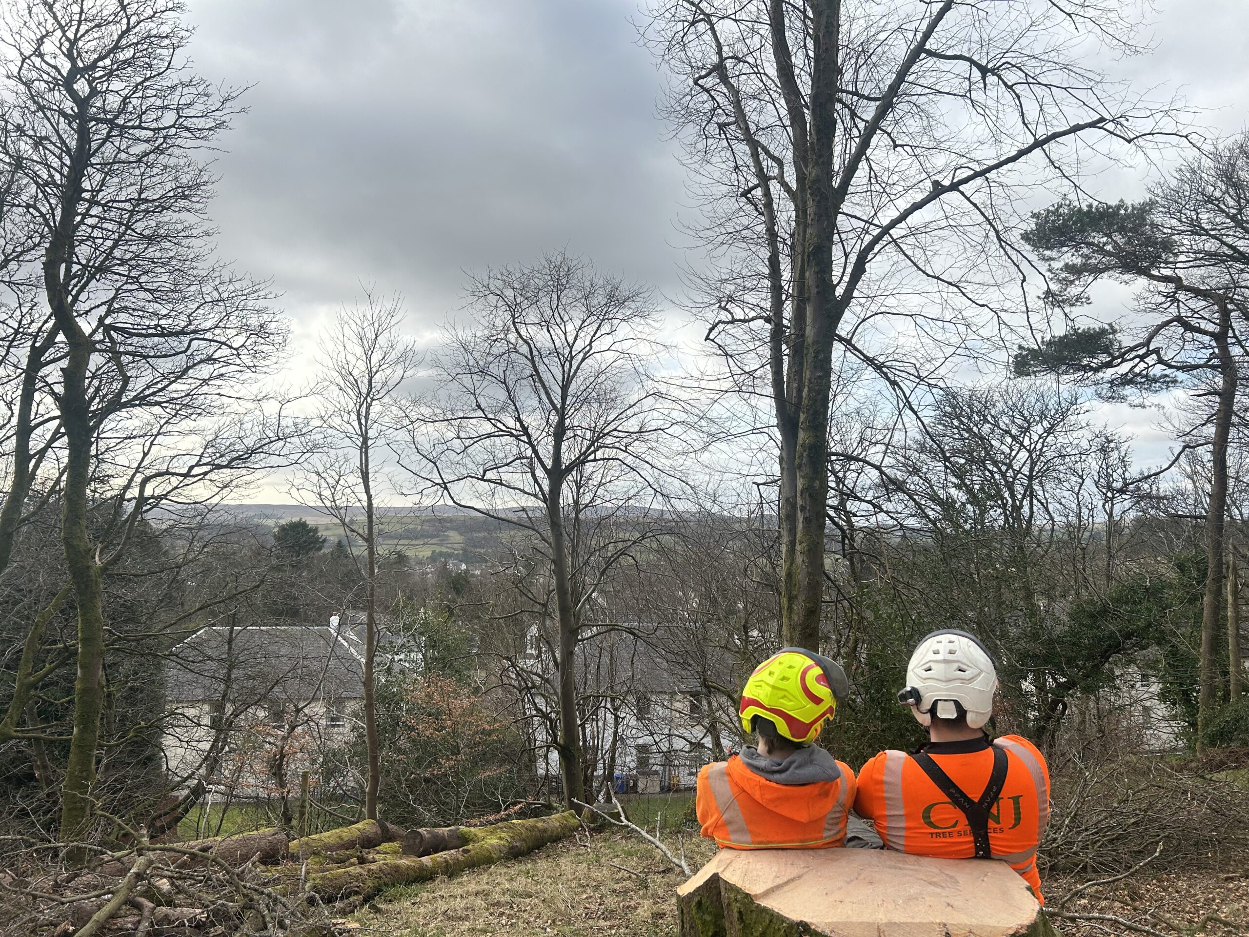 Two arborists resting on a cut log, overlooking a valley.
