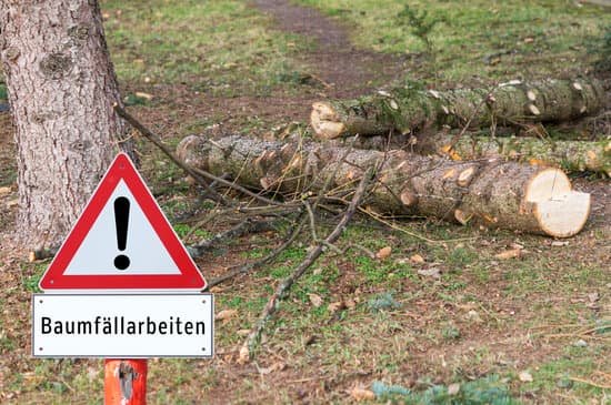 warning sign beside felled tree logs
