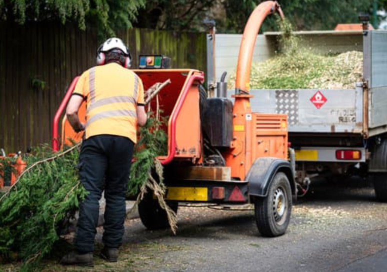 A worker in a hi-vis jacket feeds cut branches into an orange wood chipper beside a truck loaded with wood chips.